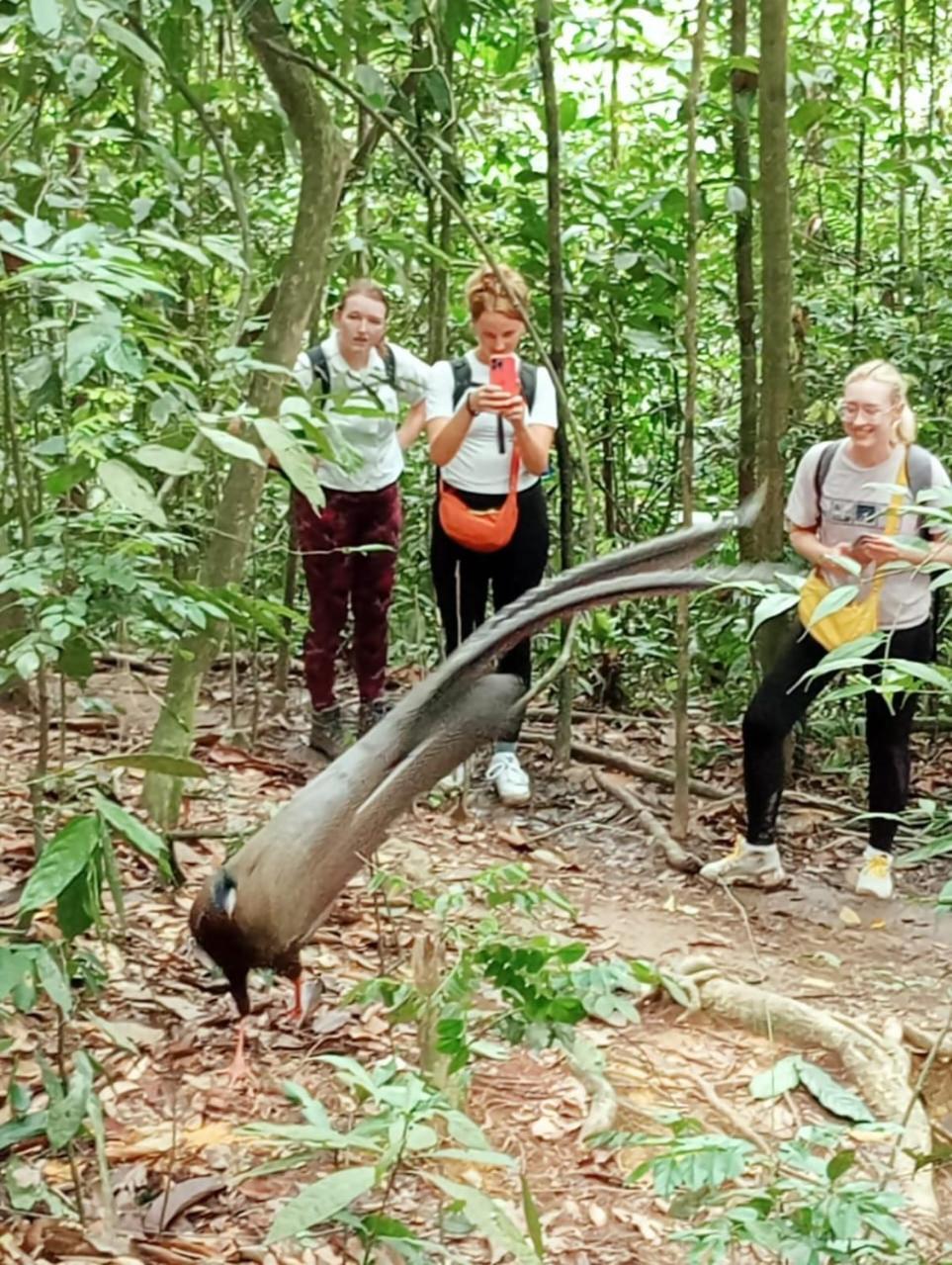 Landak River Guest House Only Trekking With Us Bukit Lawang Exteriör bild