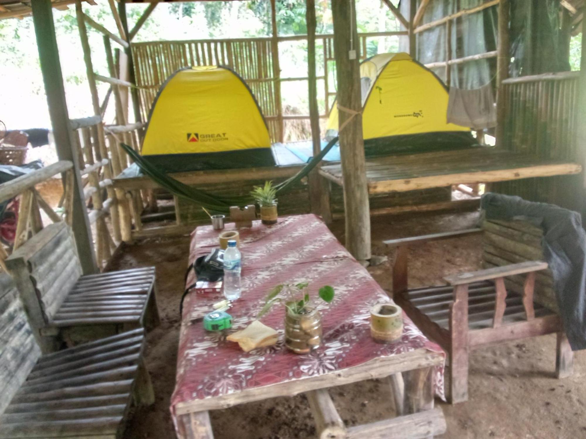 Landak River Guest House Only Trekking With Us Bukit Lawang Exteriör bild