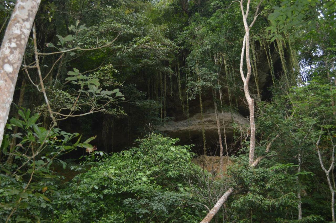 Landak River Guest House Only Trekking With Us Bukit Lawang Exteriör bild