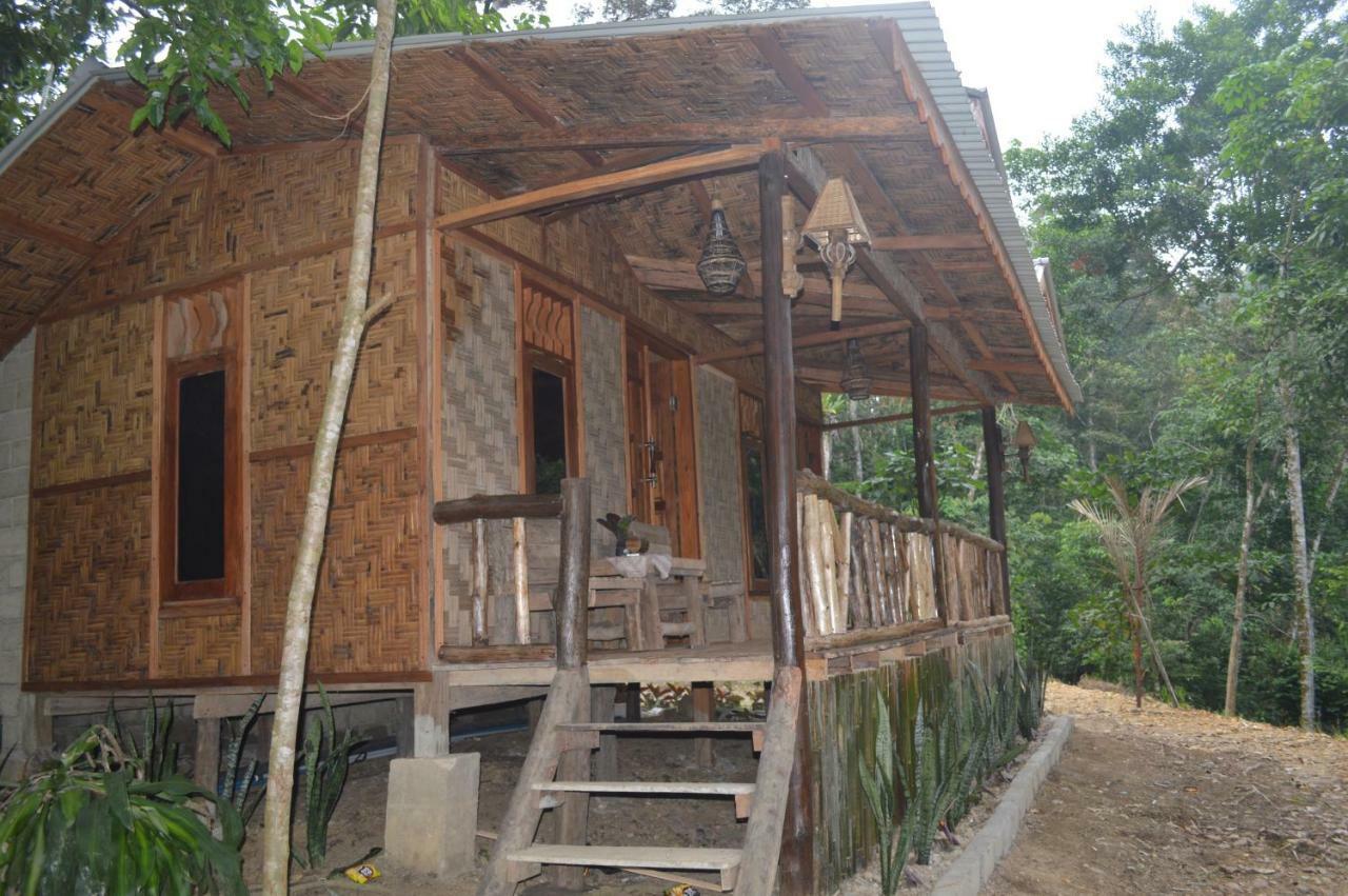 Landak River Guest House Only Trekking With Us Bukit Lawang Exteriör bild