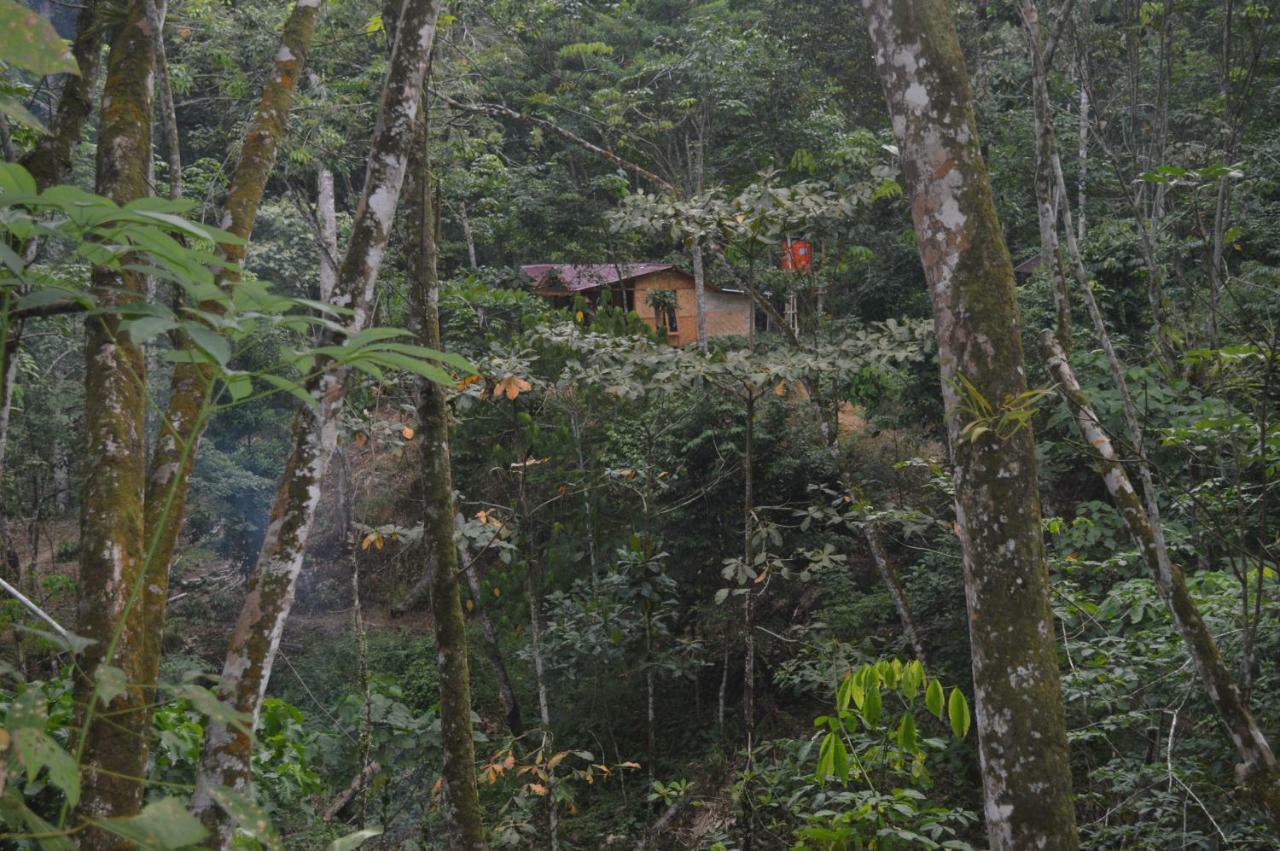 Landak River Guest House Only Trekking With Us Bukit Lawang Exteriör bild