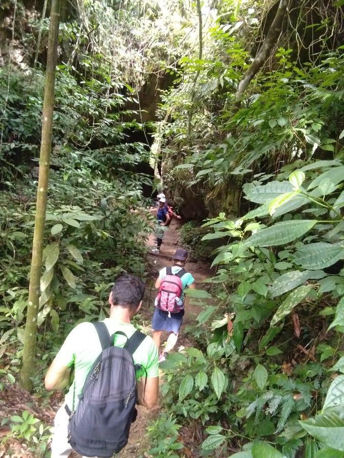 Landak River Guest House Only Trekking With Us Bukit Lawang Exteriör bild