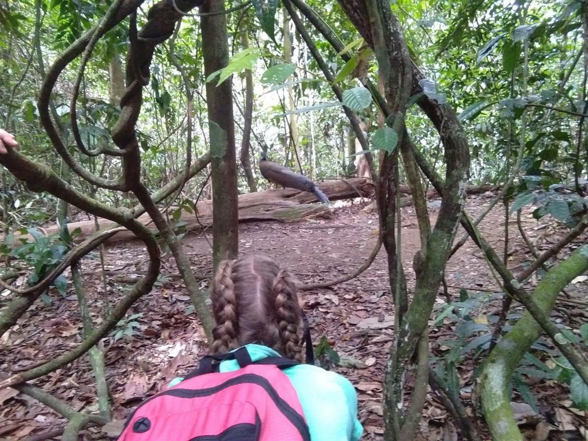 Landak River Guest House Only Trekking With Us Bukit Lawang Exteriör bild