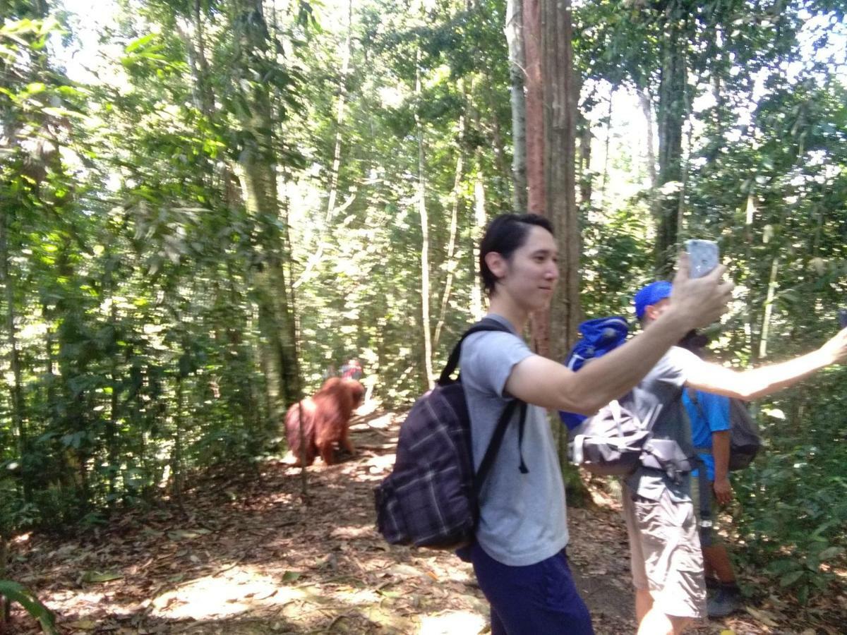 Landak River Guest House Only Trekking With Us Bukit Lawang Exteriör bild