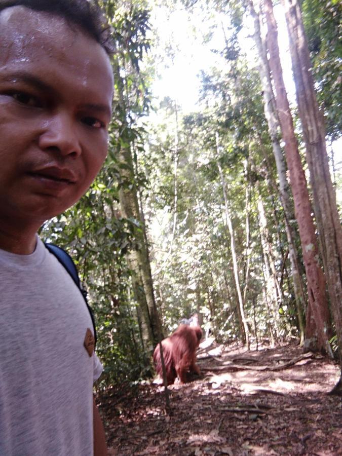 Landak River Guest House Only Trekking With Us Bukit Lawang Exteriör bild